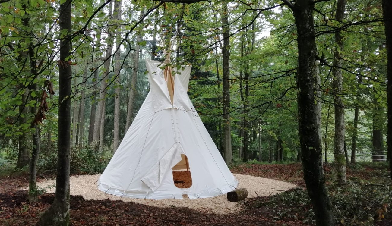 e1fd0f04-7f56-4afb-8bb2-91a9c6c85634 2